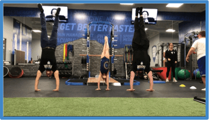 alliance orthopedics