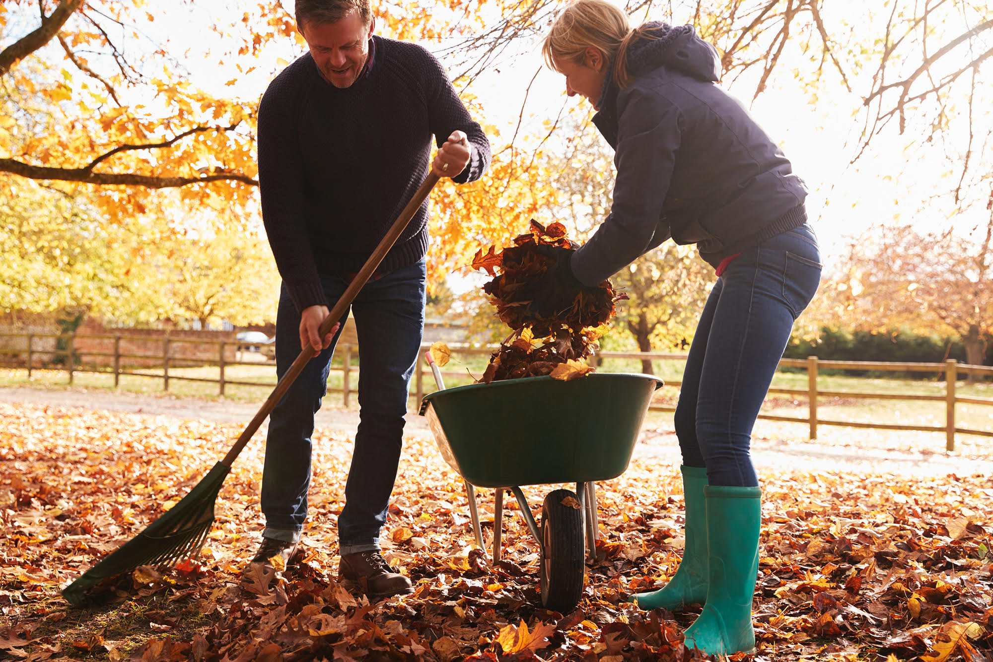Raking Leaves Safety Nj Spine And Wellness Holiday