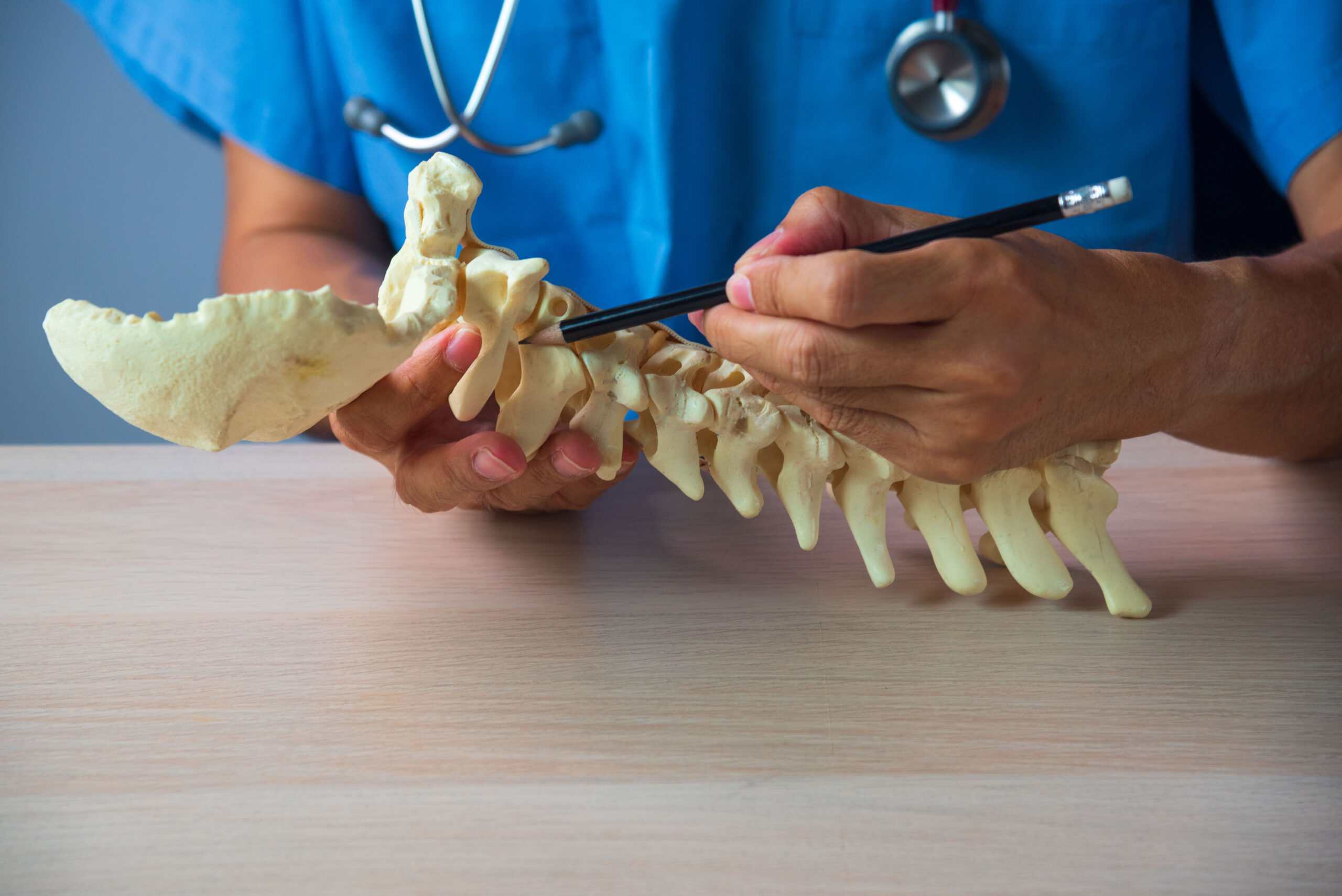 Doctor demonstrating anatomy of upper cervical spine. Pencil pointing at occipitocervical spine model in medical office.
